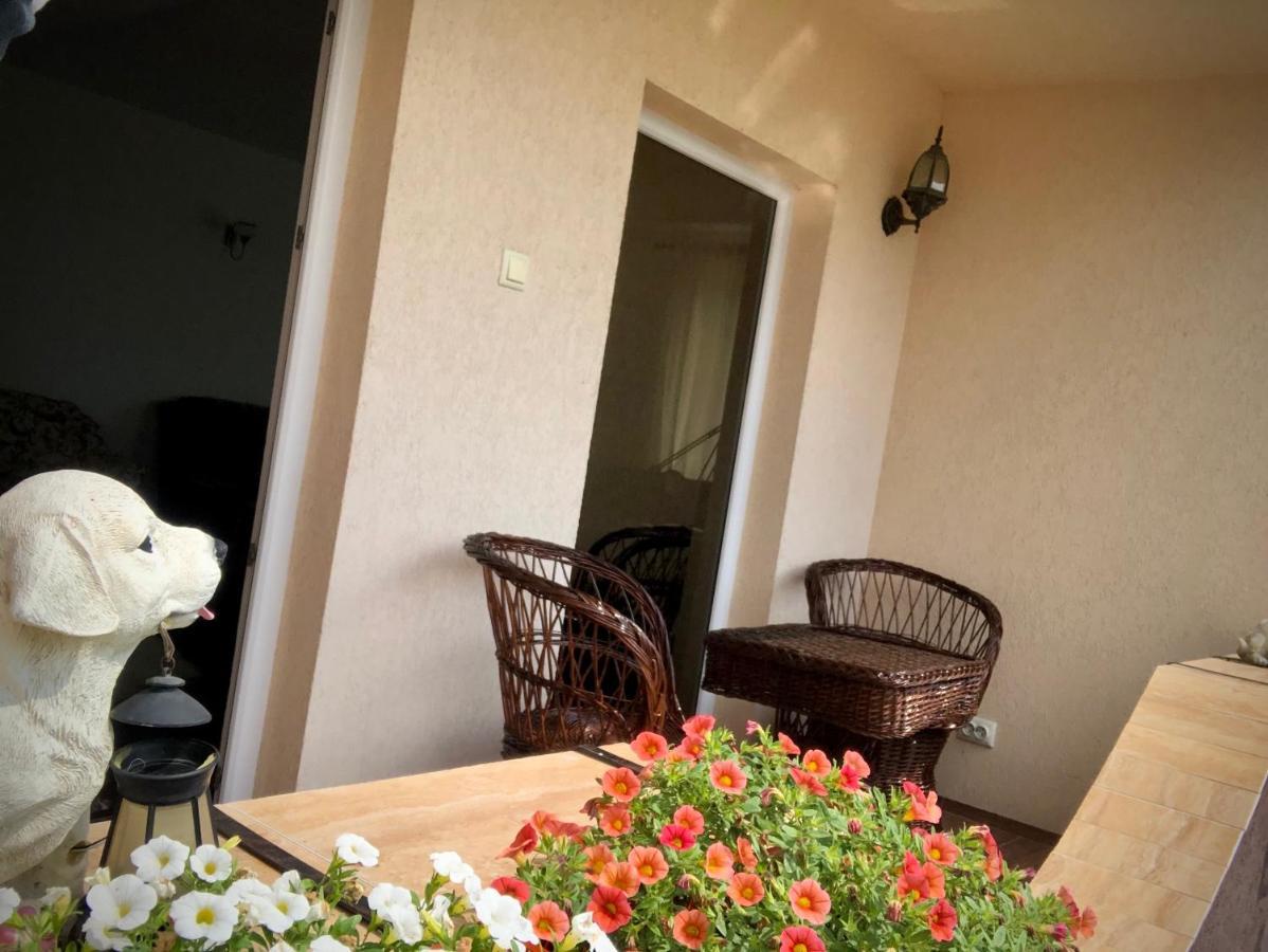 Casa Paunescu Milostea Buitenkant foto
